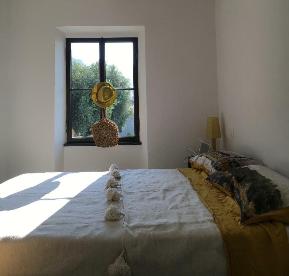 House In Grimaldi. Spectacular View Over The French Riviera! グリマルディ エクステリア 写真