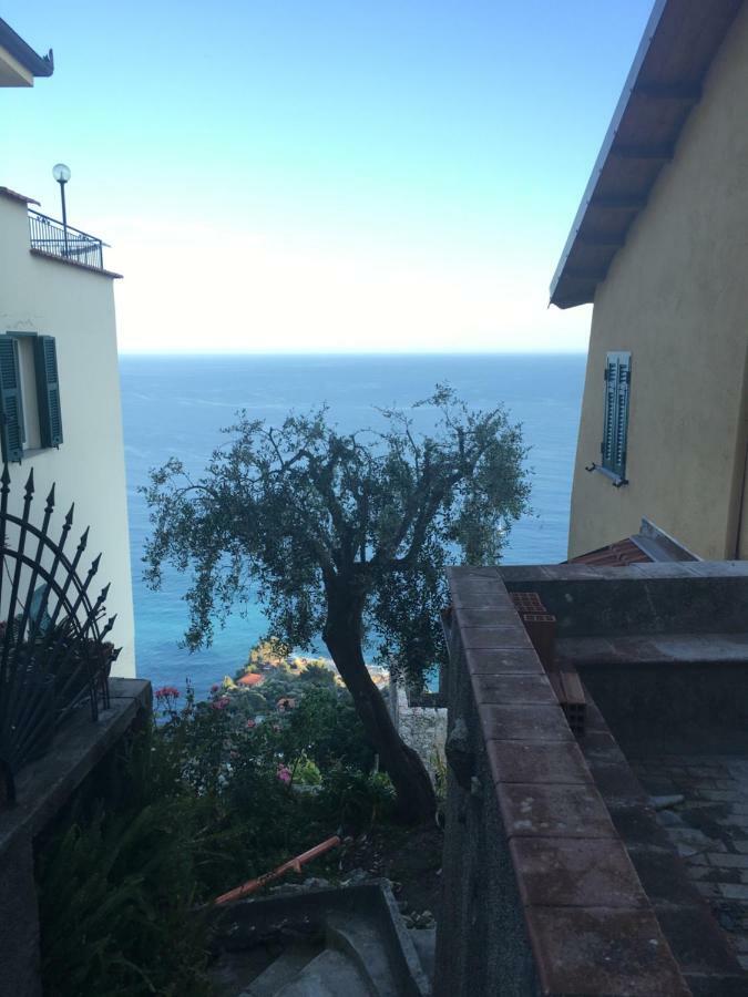 House In Grimaldi. Spectacular View Over The French Riviera! グリマルディ エクステリア 写真